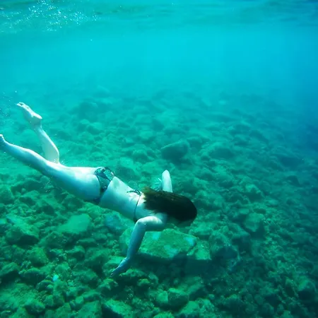 Lägenhet With Sea View *