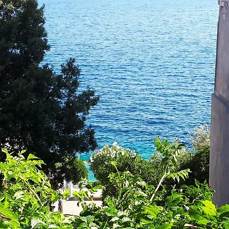 With Sea View