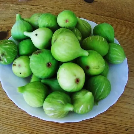 With Sea View 아파트 프리그라디차