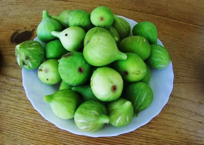 With Sea View Apartamento Prigradica